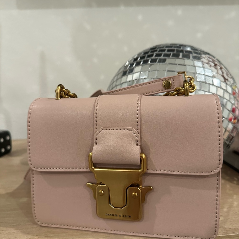 Charles & Keith Beige Pink and Gold Mini Bag